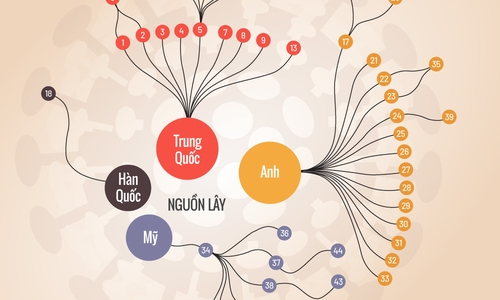Mối liên hệ giữa các ca Covid-19 ở Việt Nam