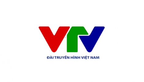 Cơ cấu tổ chức mới của Đài Truyền hình Việt Nam
