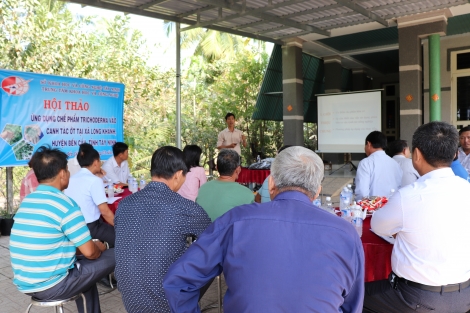 Ứng dụng chế phẩm Trichoderma vào canh tác ớt