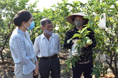 Giãn nợ, giảm lãi để hỗ trợ nông dân phát triển sản xuất giữa dịch Covid-19