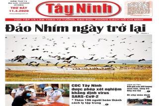 Điểm báo in Tây Ninh ngày 11.4.2020