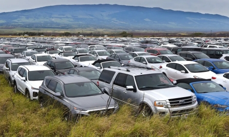 Hàng chục nghìn ôtô cho thuê bỏ không trên cánh đồng
