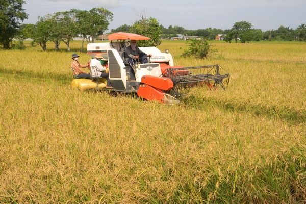 Chính phủ gia hạn thời hạn nộp thuế và tiền thuê đất