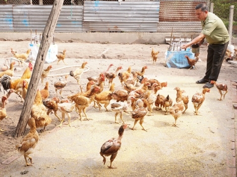 Cựu chiến binh năng động làm kinh tế, nhiệt tình tham gia hoạt động xã hội