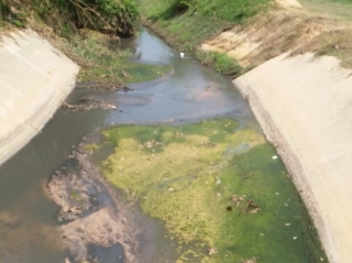 Nhiều nguồn nước sông, suối bị ô nhiễm