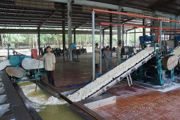 Tây Ninh: Tiếp tục thực hiện các biện pháp phòng, chống dịch Covid-19 trong tình hình mới