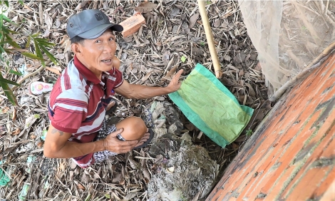 Bé gái sơ sinh sống sót kỳ diệu sau khi bị bỏ ngoài nghĩa địa