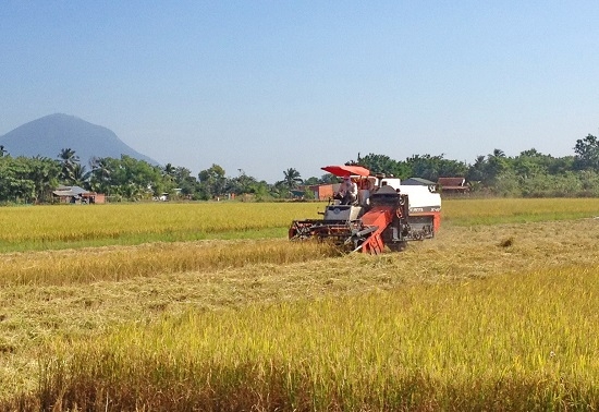 Thông tin kinh tế trong tỉnh