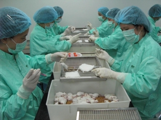 Triển vọng vaccine COVID-19 ở Việt Nam