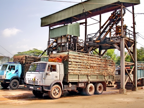 Thông tin kinh tế trong tỉnh