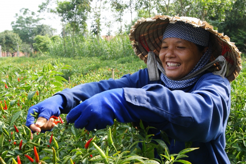 Mùa hè đặc biệt