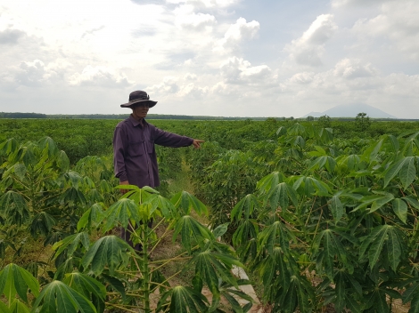 Nông dân xã Mỏ Công trông chờ nước tưới