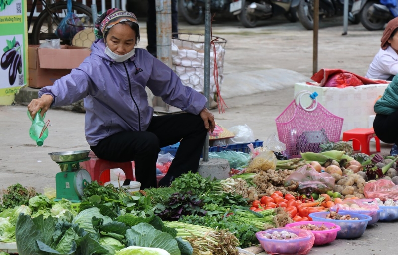 "Không nên đưa hộ kinh doanh vào dự thảo Luật Doanh nghiệp sửa đổi'