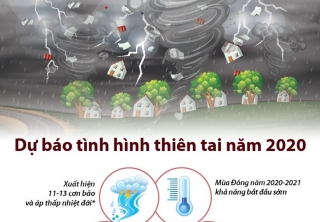 [Infographics] Dự báo tình hình thiên tai tại Việt Nam năm 2020