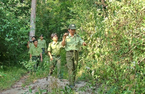 Thông tin kinh tế trong tỉnh