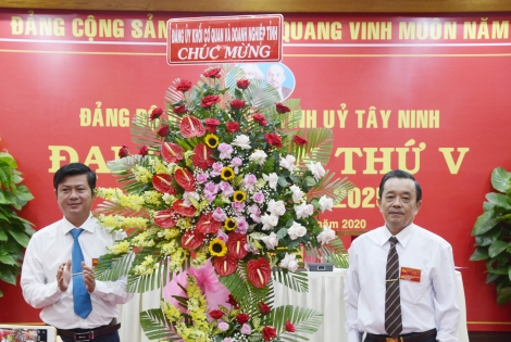 Đảng bộ Văn phòng Tỉnh ủy đại hội nhiệm kỳ 2020-2025