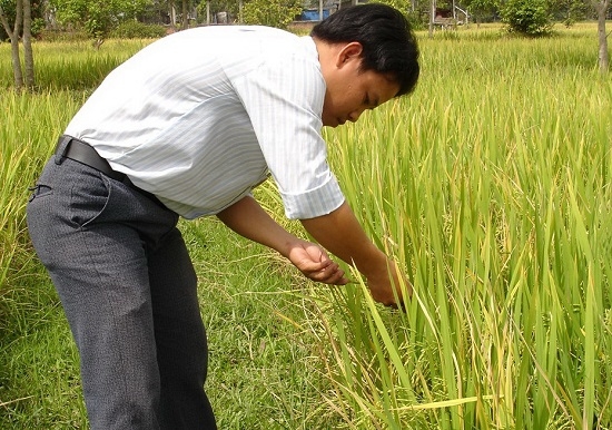 Thông tin kinh tế trong tỉnh