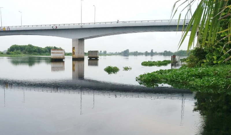 Nước sông Vàm Cỏ Đông chuyển màu đen, bốc mùi hôi thối