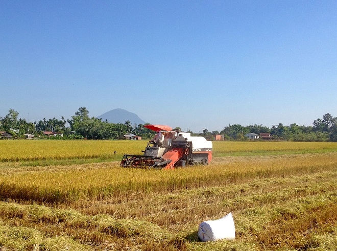 Thông tin kinh tế trong tỉnh