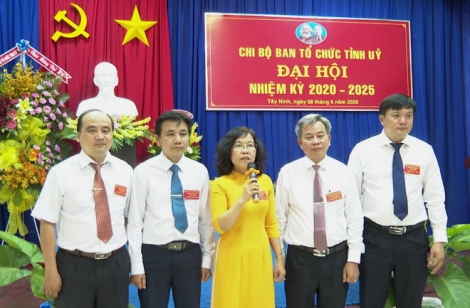 Đại hội Chi bộ Ban Tổ chức Tỉnh uỷ, nhiệm kỳ 2020 - 2025