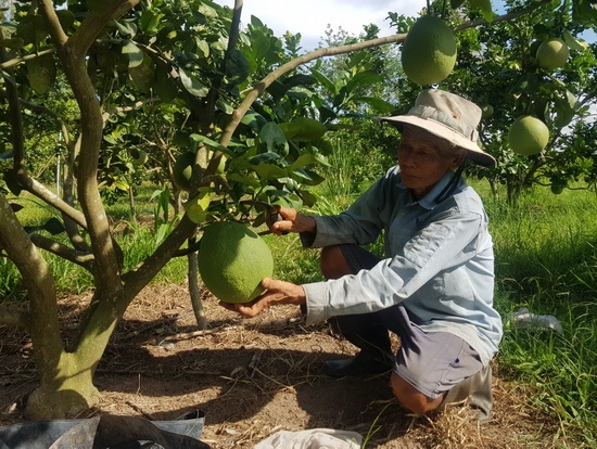 Trường Đông: Sử dụng hiệu quả nguồn vốn vay chính sách xã hội