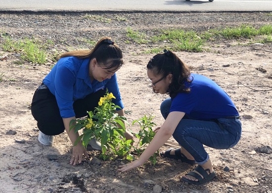 Châu Thành: Ra quân thực hiện công trình Tuyến đường hoa chào mừng Đại hội Đảng các cấp