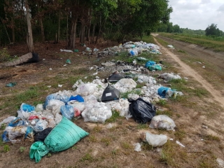 Xử lý nghiêm hành vi vứt rác thải bừa bãi
