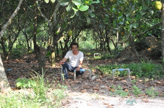 Châu Thành: Vốn vay CSXH là đòn bẩy giúp nông dân huyện thoát nghèo