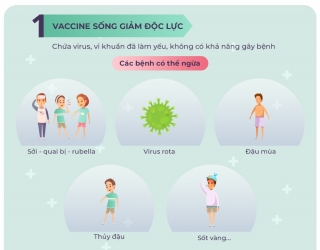 Các loại vaccine phòng bệnh