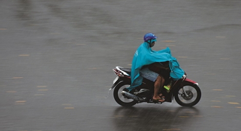 Nghe mưa