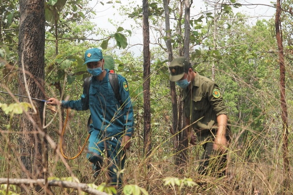 Đầu tư xây mới tháp canh lửa kiểm soát phòng chống cháy rừng là cần thiết