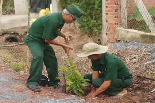 Hội Cựu chiến binh phường Gia Bình: Ra quân thực hiện tuyến đường hoa