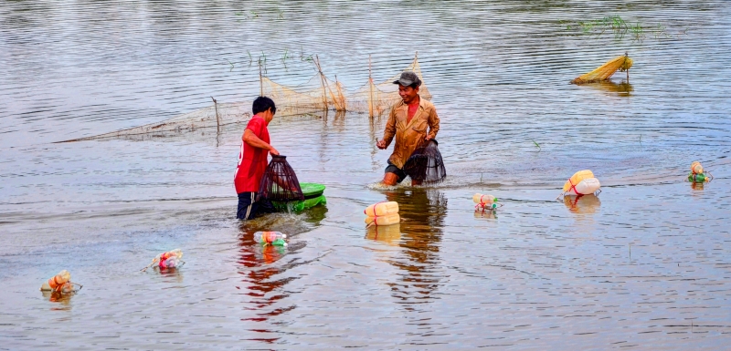 Mùa đặt trúm