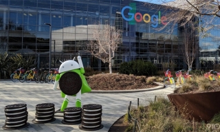 Nhân viên Google làm việc ở nhà tới hè 2021