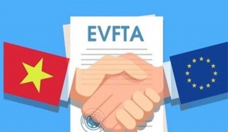 EVFTA giúp phục hồi kinh tế và tạo việc làm cho châu Âu