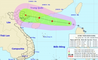 Áp thấp nhiệt đới đã vào Biển Đông, sức gió mạnh nhất giật cấp 9