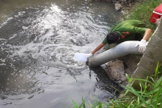 Tân Biên: Một cơ sở chăn nuôi xả thải ra môi trường gây ô nhiễm