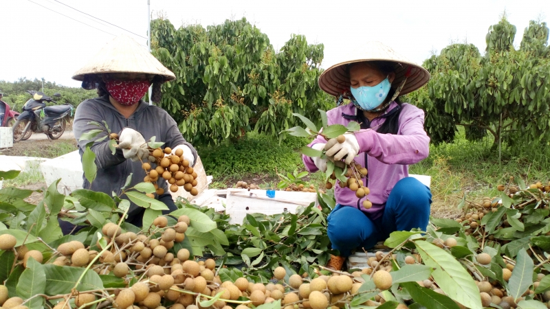 OCOP- Động lực phát triển kinh tế nông thôn