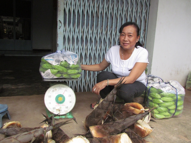 Vén khéo việc nhà, việc hội