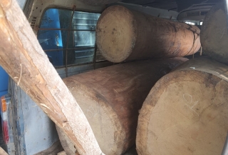 Bắt giữ một xe khách chở gần 2 khối gỗ lậu