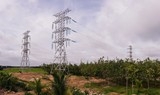 Phấn đấu đóng điện giai đoạn 1 TBA 220 kV Tây Ninh 2 vào cuối tháng 9