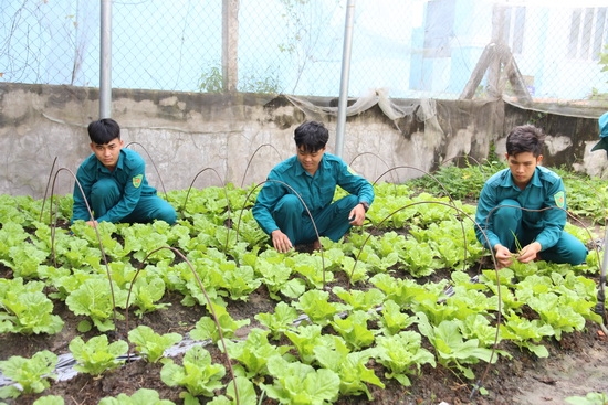 Đơn vị chính quy, xanh, sạch, đẹp- Diện mạo mới trong doanh trại