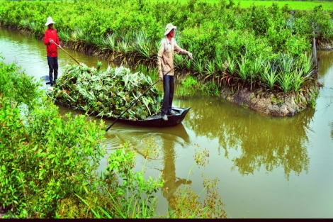 Giai đoạn 2016-2020: Tỷ lệ hộ nghèo hằng năm giảm 1,3%