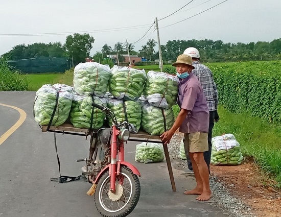 Thông tin kinh tế trong tỉnh