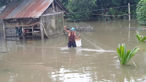 Nhiều nhà dân ấp Tân Long bị ngập sau mưa