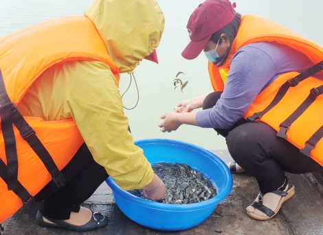 Tây Ninh: Thả hơn nửa triệu con cá giống vào hồ Dầu Tiếng