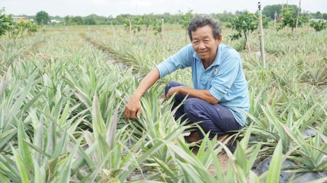 Phát huy vai trò của Hội Nông dân trong phát triển nông nghiệp, nông thôn