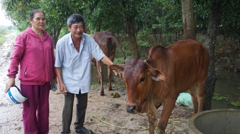 Kết nối và sẻ chia