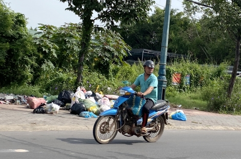 Kiên quyết xử lý những đối tượng vứt rác không đúng quy định