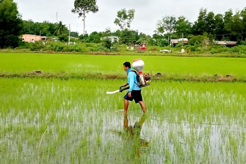 Thông tin kinh tế trong tỉnh